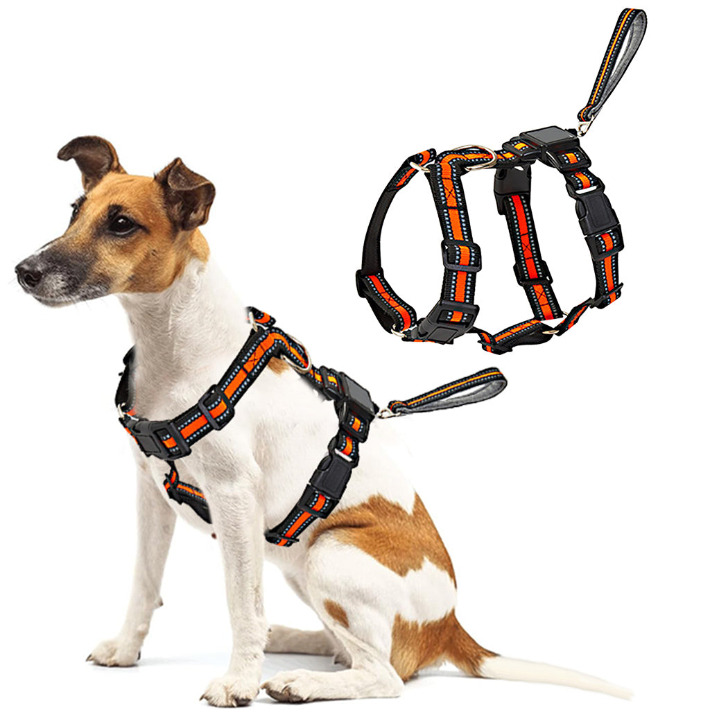Qpets No Pull Dog Harness, 2 in 1 Dog Vest Harness with 59 inches Retractable Wire Dog Leash Quick Release Buckle Dog Harness with Night Reflective Strip Design Qpets No Pull Dog Harness, 2 in 1 Dog Vest Harness with 59 inches Retractable Wire Dog Leash Quick Release Buckle Dog Harness with Night Reflective Strip Design